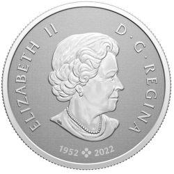 Stříbrná mince 1/2 Oz Welcome to the world 2023 proof "Vítej na světě"