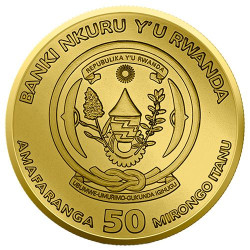Stříbrná mince 1 Oz Black Rabbit 2023 Kolorováno