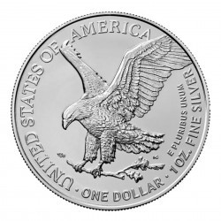 Tuba 20 x stříbrná mince 1 Oz American Eagle