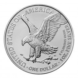 Box 500 x stříbrná mince 1 Oz American Eagle