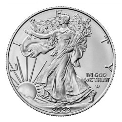 Box 500 x stříbrná mince 1 Oz American Eagle