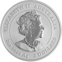 Stříbrná mince 5 Oz Lunar Series III Year of the Rabbit 2023
