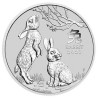 Stříbrná mince 5 Oz Lunar Series III Year of the Rabbit 2023