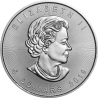 Stříbrná mince 1 Oz Maple Leaf 2022 Zlaceno