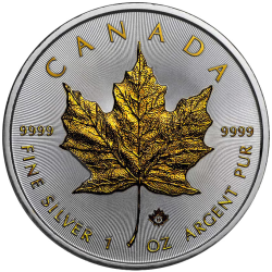 Stříbrná mince 1 Oz Maple Leaf 2022 Zlaceno