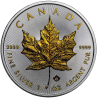 Stříbrná mince 1 Oz Maple Leaf 2022 Zlaceno