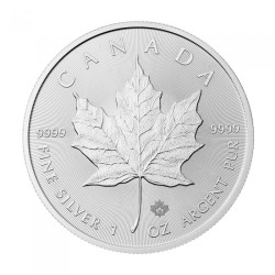 Stříbrná mince 1 Oz Maple Leaf 2015