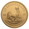 Zlatá mince 1/2 Oz Krugerrand 2023