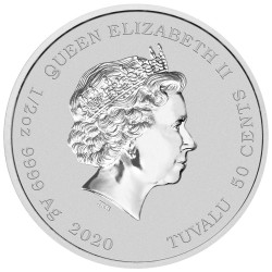 Stříbrná mince 1/2 Oz Homer Simpson 2020 Kolorováno