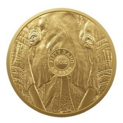 Zlatá mince 1 Oz Big Five Elephant 2023