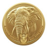 Zlatá mince 1 Oz Big Five Elephant 2023