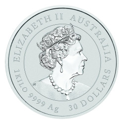 Stříbrná mince 1 Kg Lunar Series III Year of the Rabbit 2023