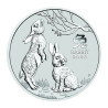 Stříbrná mince 1 Kg Lunar Series III Year of the Rabbit 2023