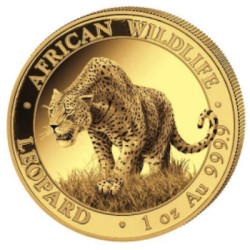 Zlatá mince 1 Oz African Wildlife Leopard 2023