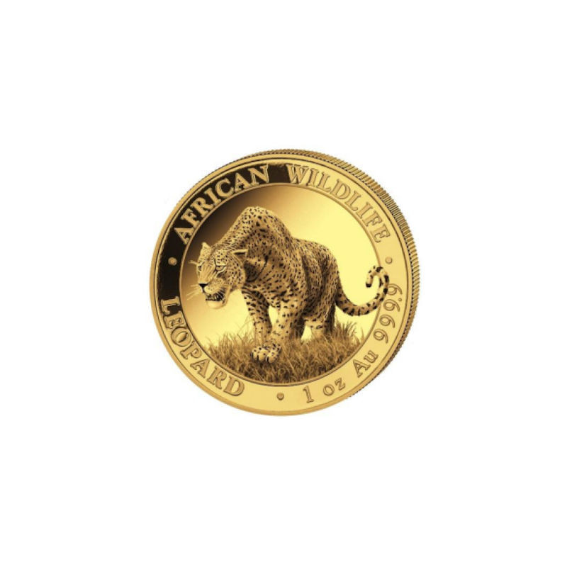 Zlatá mince 1 Oz African Wildlife Leopard 2023