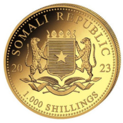 Zlatá mince 1 Oz African Wildlife Leopard 2023