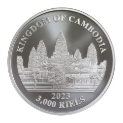 Stříbrná mince 1 Oz Big Five Asian Elephant 2023 Kolorováno