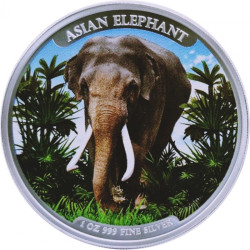 Stříbrná mince 1 Oz Big Five Asian Elephant 2023 Kolorováno