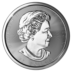 Stříbrná mince 10 Oz Magnificent Maple Leaf 2021