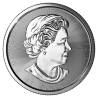 Stříbrná mince 10 Oz Magnificent Maple Leaf 2021