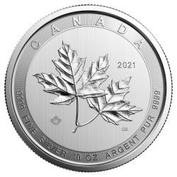 Stříbrná mince 10 Oz Magnificent Maple Leaf 2021