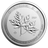Stříbrná mince 10 Oz Magnificent Maple Leaf 2021