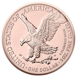 Stříbrná mince 1 Oz American Eagle Four Seasons Series Summer 2022