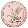 Stříbrná mince 1 Oz American Eagle Four Seasons Series Summer 2022