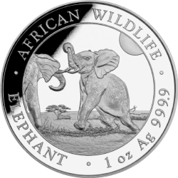 Stříbrná mince 1 Oz African Wildlife Elephant 2024