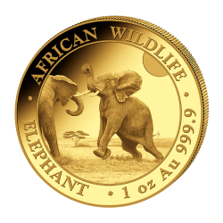 Zlatá mince 1 Oz African...