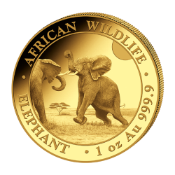 Zlatá mince 1 Oz African Wildlife Elephant 2024