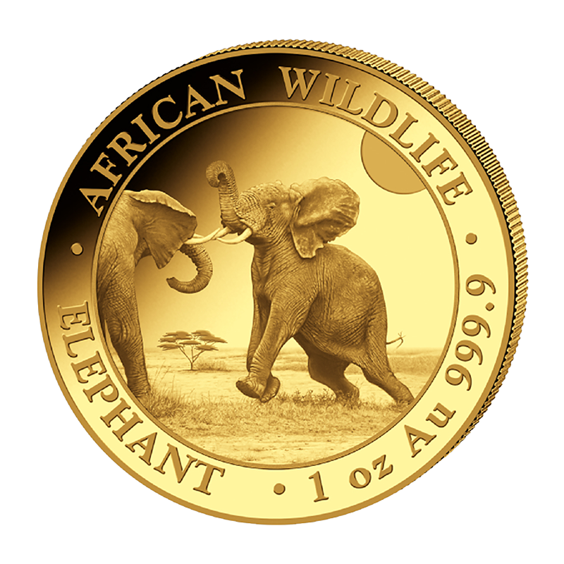 Zlatá mince 1 Oz African Wildlife Elephant 2024