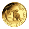 Zlatá mince 1 Oz African Wildlife Elephant 2024