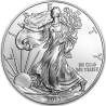 Stříbrná mince 1 Oz American Eagle 2012