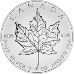 Stříbrná mince 1 Oz Maple Leaf 2012