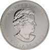 Stříbrná mince 1 Oz Maple Leaf 2011