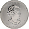 Stříbrná mince 1 Oz Maple Leaf 2011