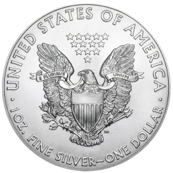 Stříbrná mince 1 Oz American Eagle 1988