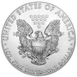 Stříbrná mince 1 Oz American Eagle 1989