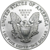 Stříbrná mince 1 Oz American Eagle 1991