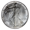 Stříbrná mince 1 Oz American Eagle 1994