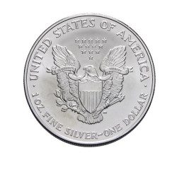 Stříbrná mince 1 Oz American Eagle 2007