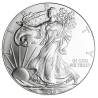 Stříbrná mince 1 Oz American Eagle 2009