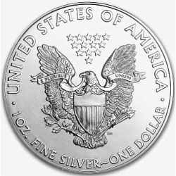 Stříbrná mince 1 Oz American Eagle 2013