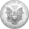 Stříbrná mince 1 Oz American Eagle 2017