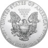 Stříbrná mince 1 Oz American Eagle 2018