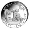 Stříbrná mince 1 Kg African Wildlife Elephant 2024