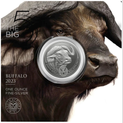 Stříbrná mince 1 Oz Buffalo 2023