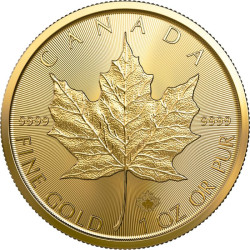 Zlatá mince 1 Oz Maple Leaf 2021