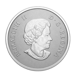 Stříbrná mince 1/2 Oz Welcome to the world 2022